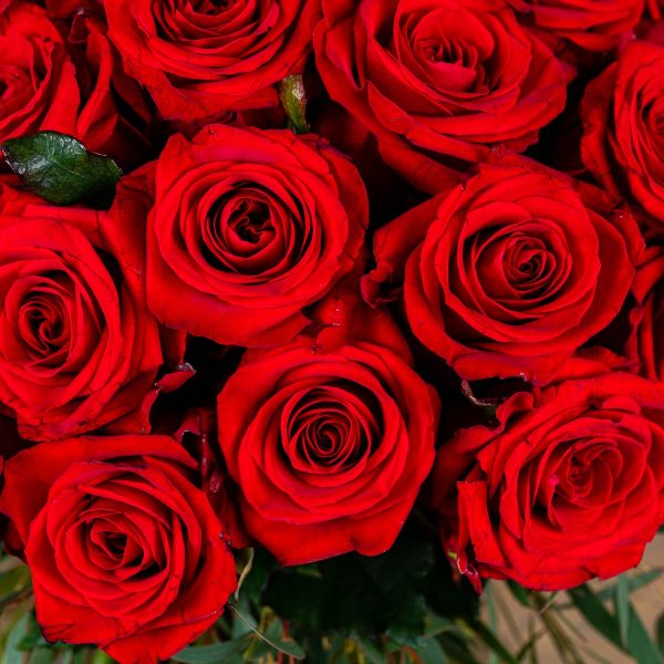 Kytica z červených ruží BRIA